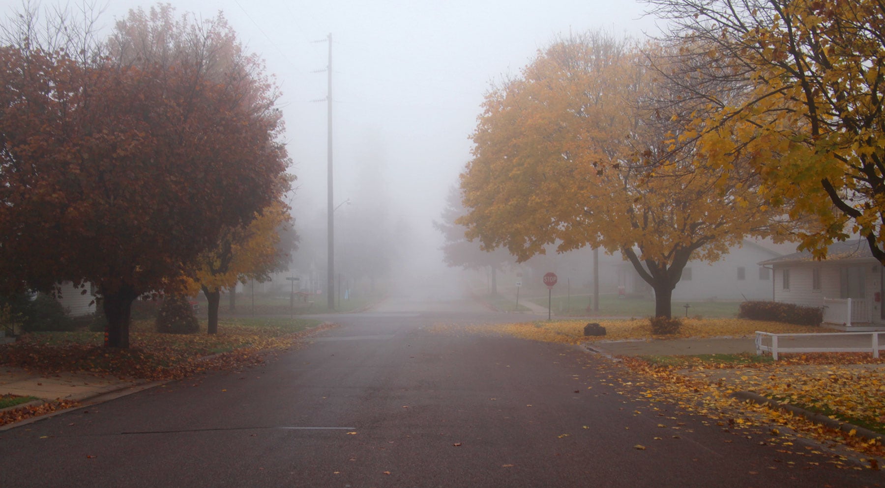 City of Caledonia, MN Wild Turkey Capital of Minnesota