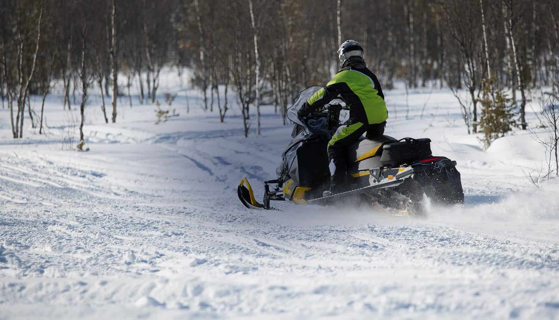 City of Caledonia, MN Wild Turkey Capital of Minnesota